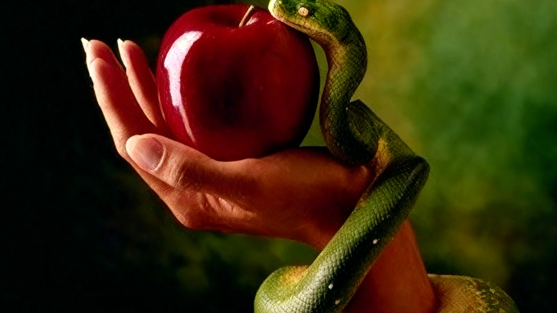 Forbidden Fruit2026-02-15T14:47:38.269Z"